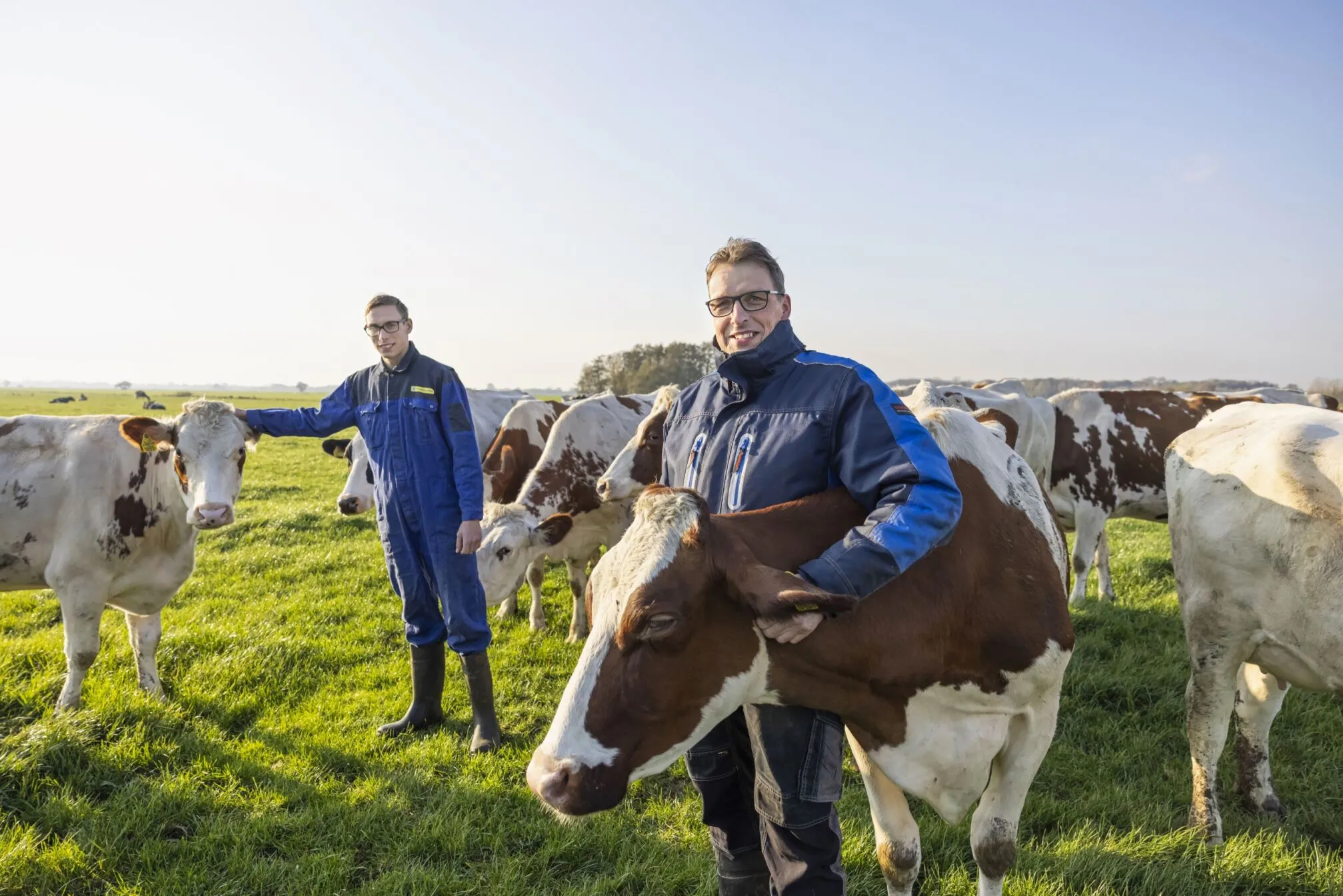 Melkveehouderij Rijneveld in Linschoten