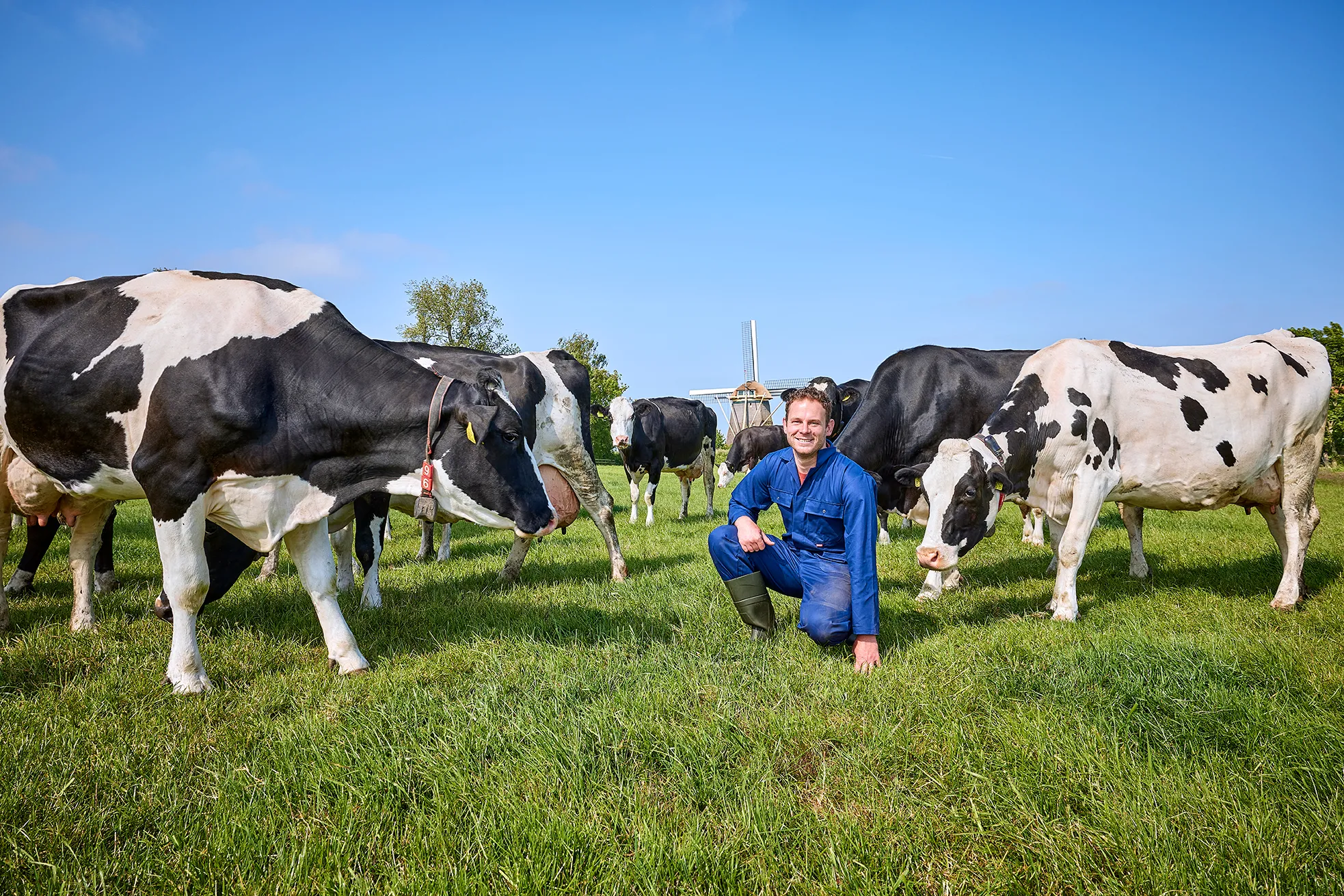 Petje Af! voor onze melkveehouders